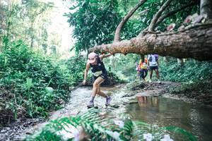 BIB: 
                            <button type="button" onclick="openModal(25443448)" class="btn btn-primary btn-sm float-right btn-popup" data-toggle="modal" data-target=".modal-high-quality">
                        <i class="fas fa-shopping-cart"></i> Add to Cart
                    </button>
                                            <button type="button" onclick="isThisMe(25443448, true)" class="btn btn-success btn-sm float-right btn-popup btn-isme hidden" data-toggle="tooltip" data-placement="bottom" title="นี่คือรูปของคุณใช่ไหม คลิกที่นี่เพื่อเอาเข้าอัลบั้ม">
                        <i class="fas fa-plus"></i> Add to album
                    </button>
                    <button type="button" onclick="isThisMe(25443448, false)" class="btn btn-warning btn-sm float-right btn-popup btn-isnotme hidden">
                        <i class="fas fa-ban"></i> Remove from album
                    </button>